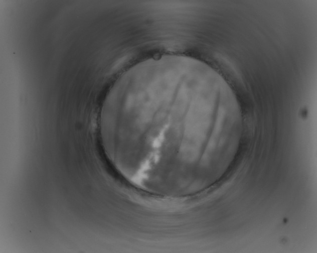 X0000094210032200711241709