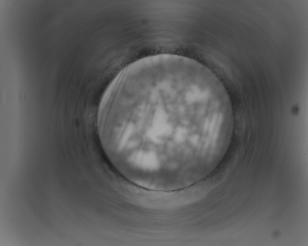 X0000094210034200711241709