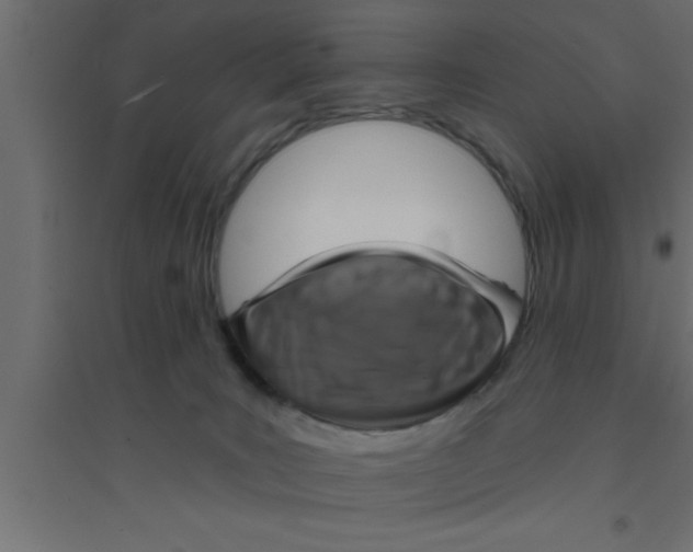 X0000094210035200711241709
