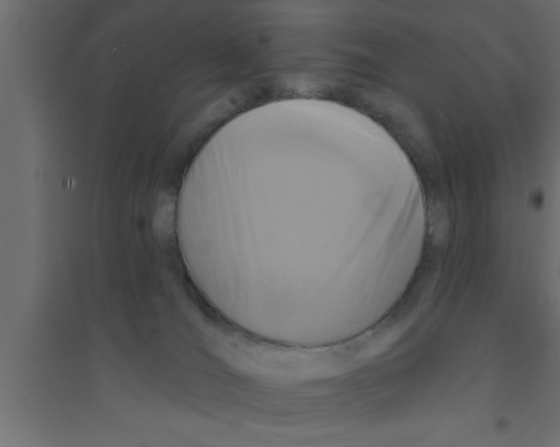 X0000094210036200711241709