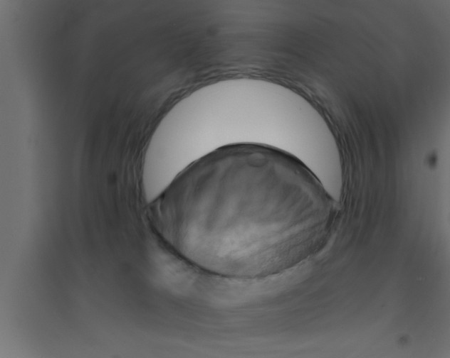 X0000094210037200711241709
