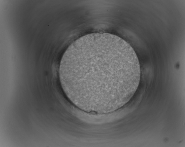 X0000094210038200711241709