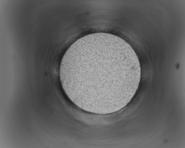 X0000094210040200711241709