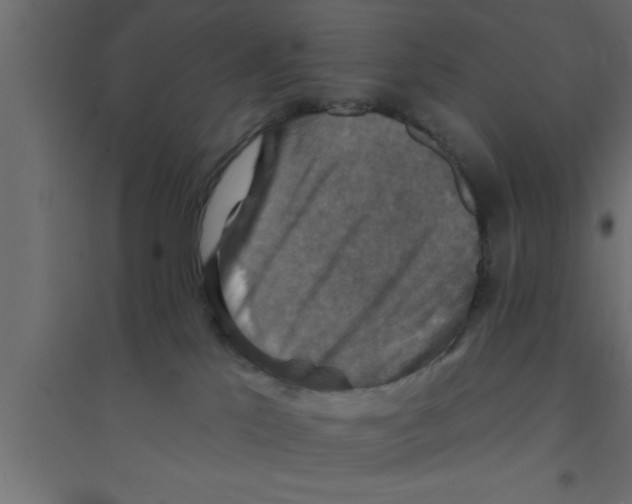 X0000094210041200711241709