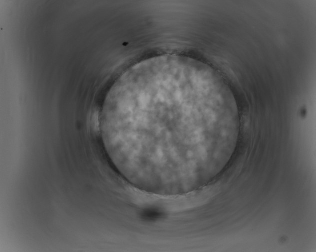 X0000094210042200711241709