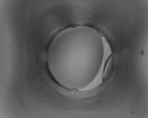 X0000094210043200711241709