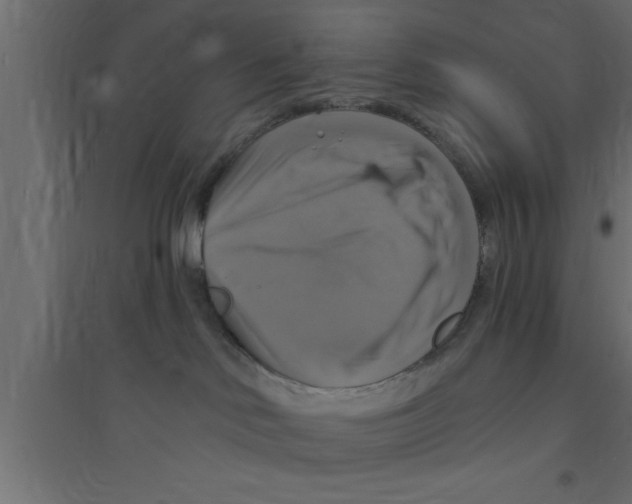 X0000094210046200711241709