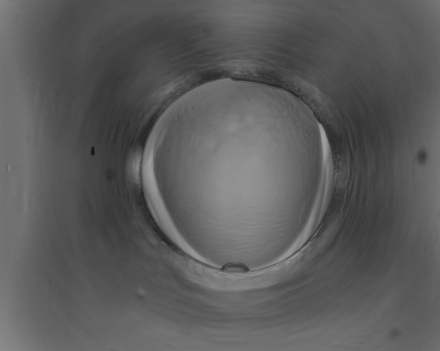 X0000094210047200711241709