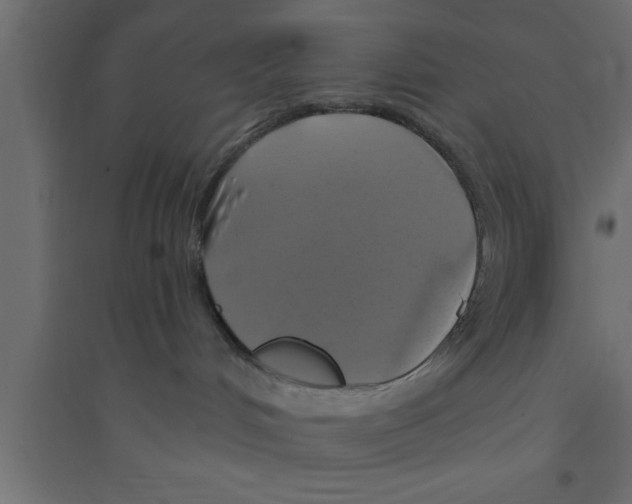X0000094210048200711241709