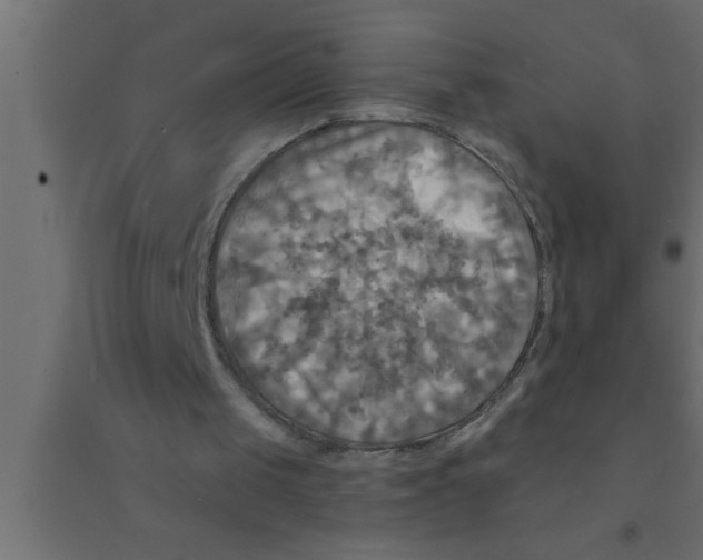 X0000094210049200711241708