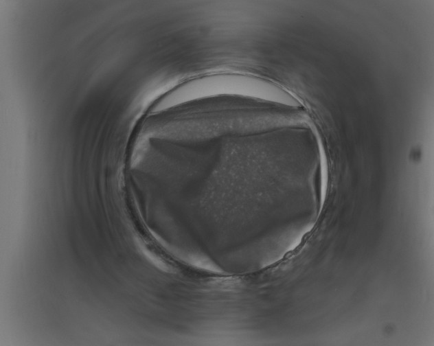 X0000094210050200711241708