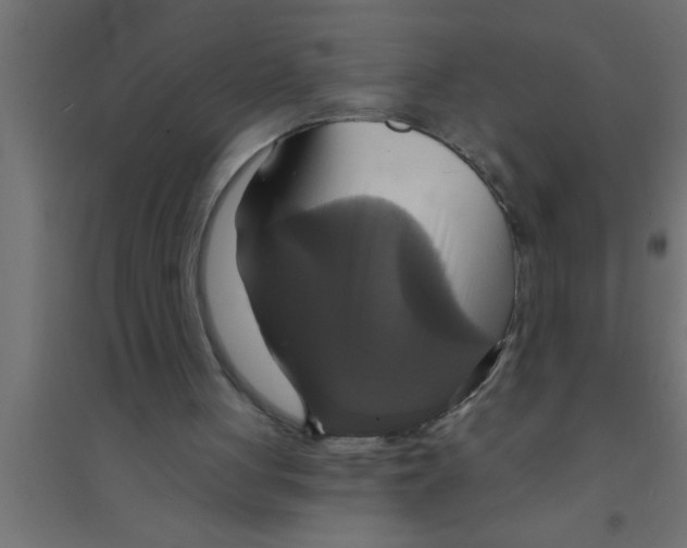 X0000094210051200711241708