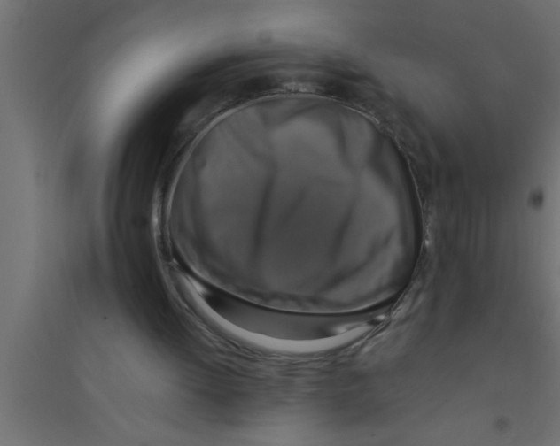 X0000094210052200711241708