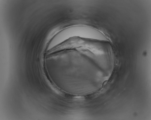 X0000094210053200711241708