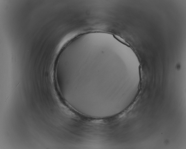 X0000094210054200711241708