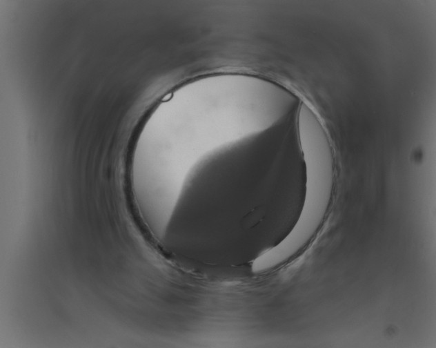 X0000094210055200711241708