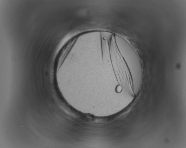 X0000094210056200711241708