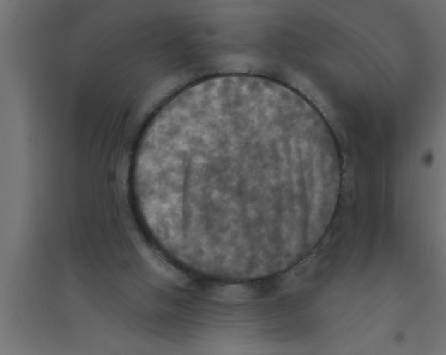 X0000094210058200711241708