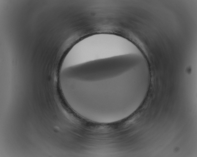 X0000094210059200711241708