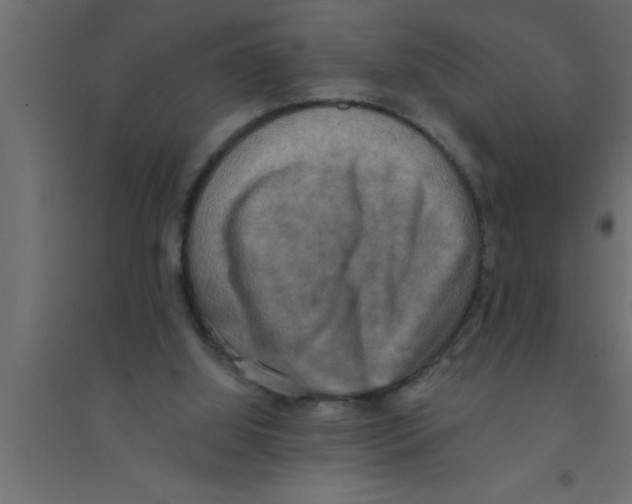 X0000094210060200711241709