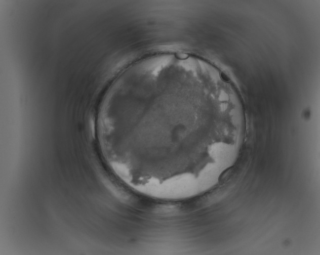 X0000094210061200711241709