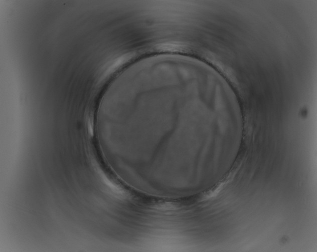 X0000094210062200711241709
