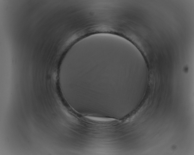 X0000094210063200711241709