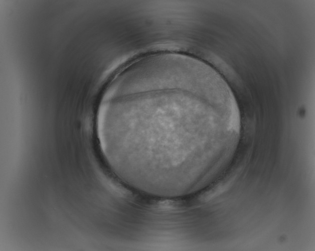 X0000094210064200711241709
