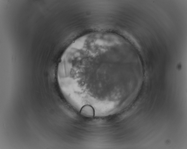 X0000094210065200711241709