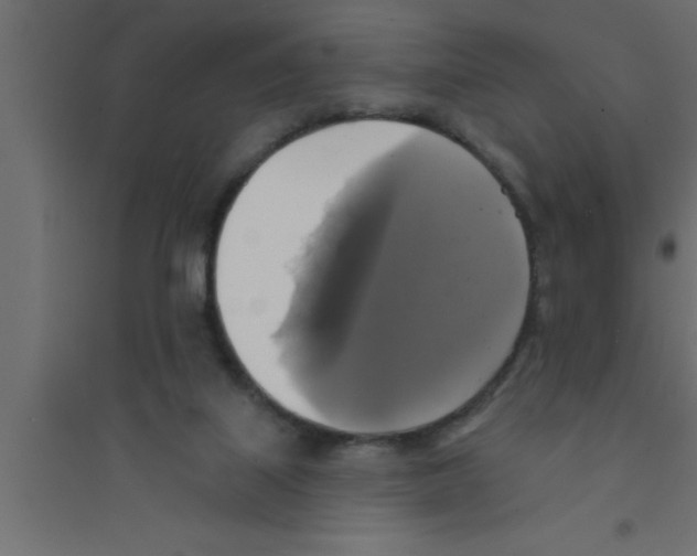 X0000094210067200711241709