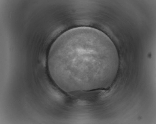 X0000094210068200711241709