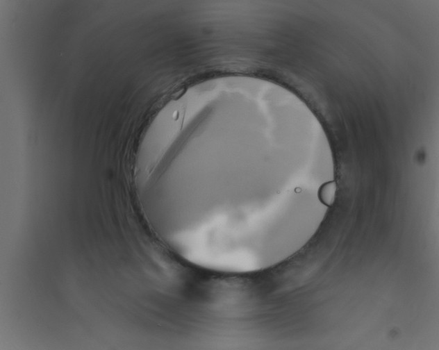 X0000094210069200711241709