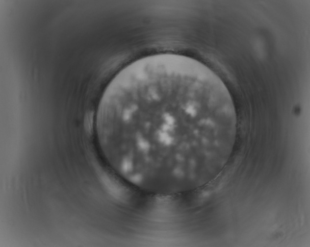 X0000094210070200711241709