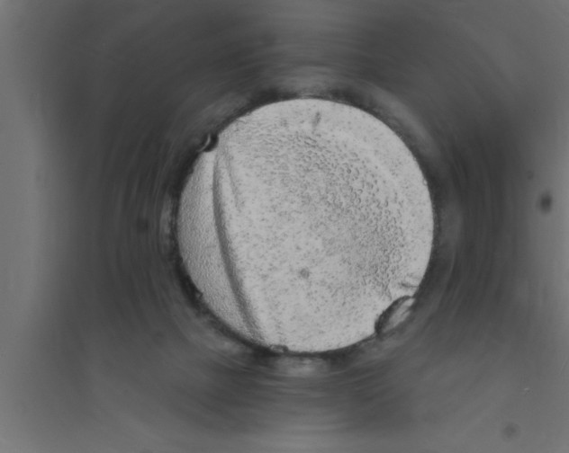 X0000094210073200711241709
