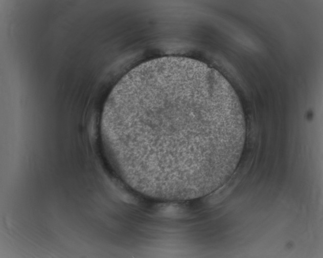 X0000094210074200711241709