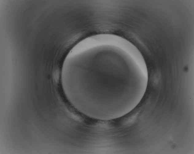 X0000094210076200711241709