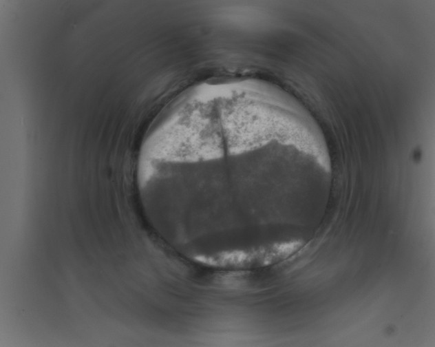 X0000094210078200711241709