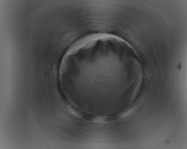 X0000094210080200711241709