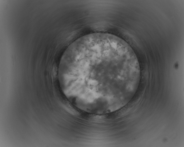 X0000094210081200711241709