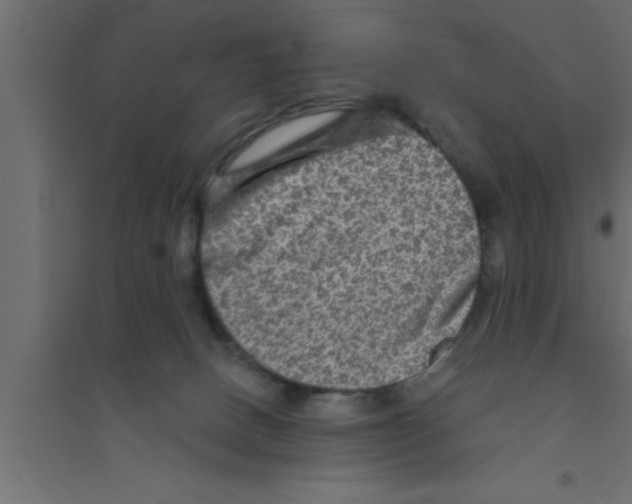 X0000094210082200711241709