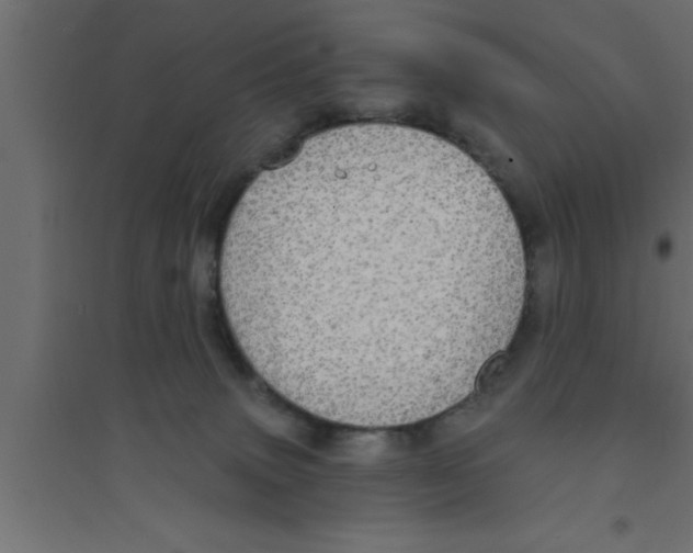 X0000094210083200711241709