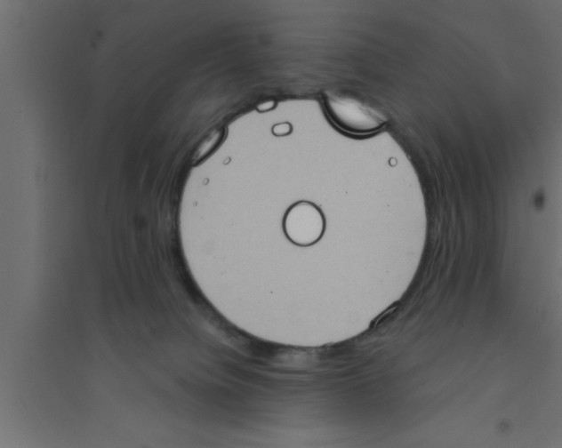 X0000094210084200711241709