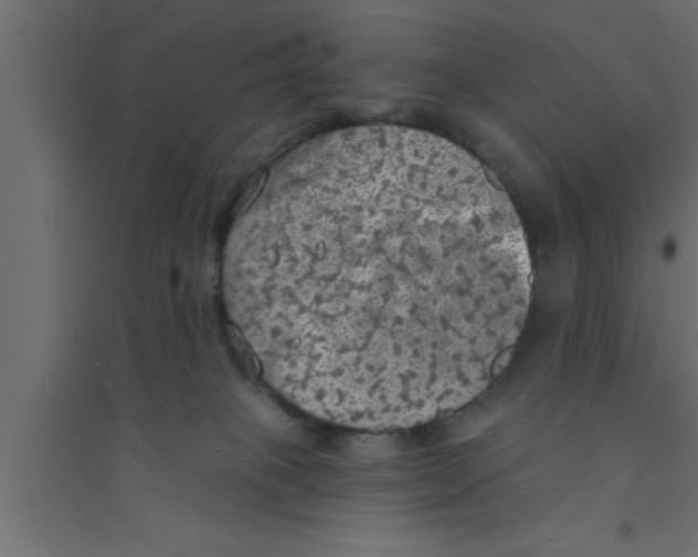 X0000094210085200711241709