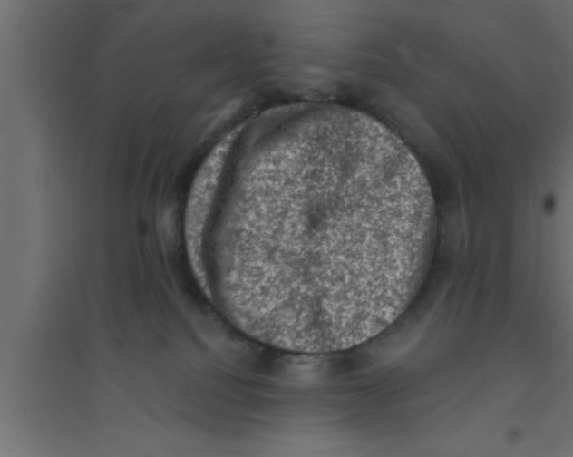 X0000094210088200711241709