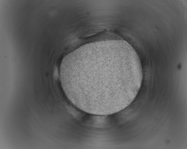 X0000094210089200711241709