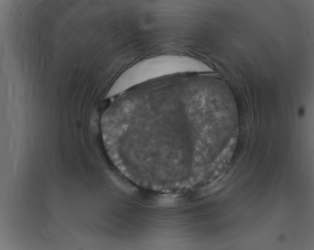 X0000094210090200711241709