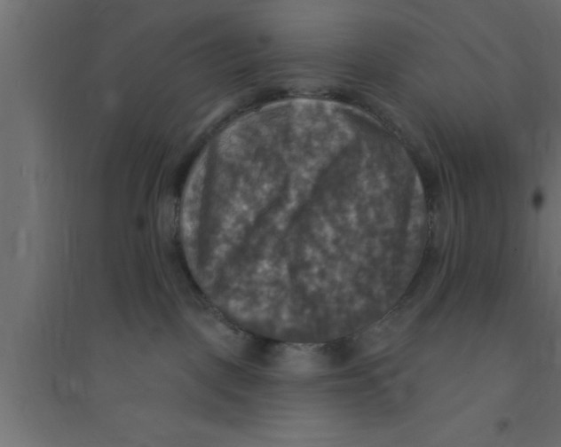 X0000094210093200711241709
