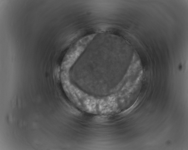 X0000094210094200711241709