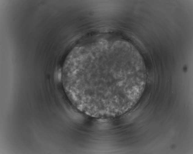 X0000094210095200711241709