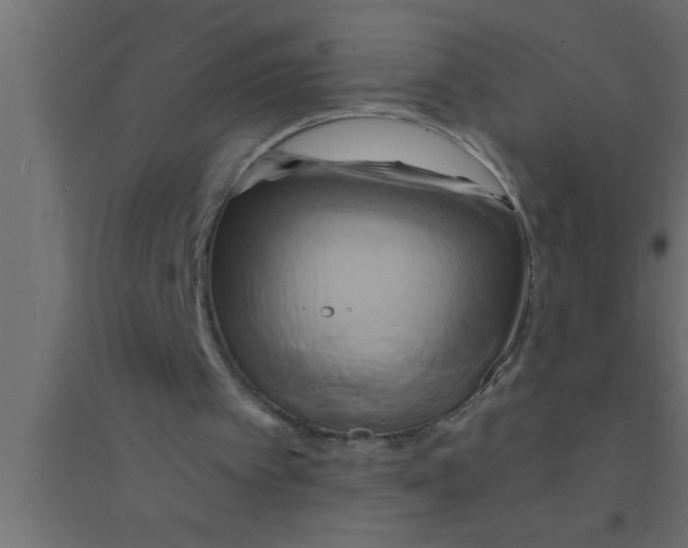 X0000094210097200711241708